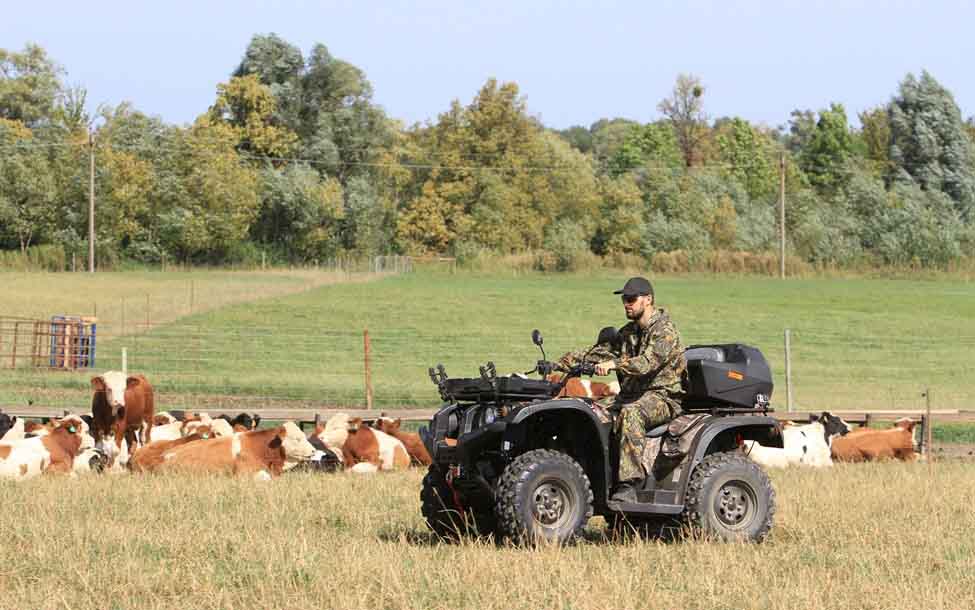 Купить Квадроцикл BALTMOTORS Striker 700 EFI (ПСМ) в Москве фото20