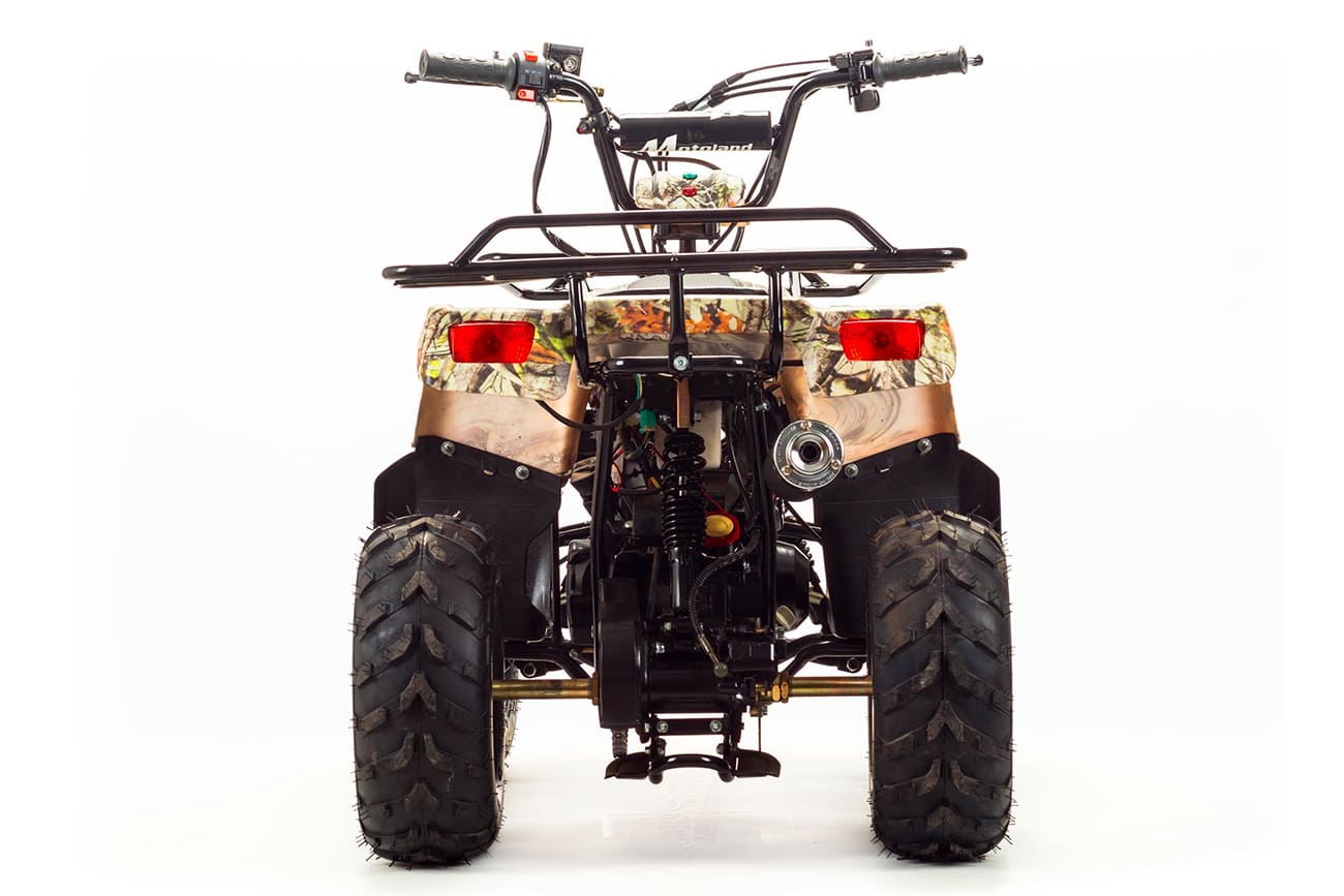 Купить Квадроцикл MOTOLAND 110 Rider (2021 Г.) в Москве фото4