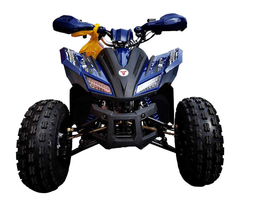 Купить Квадроцикл MOTOLAND 125 Coyote Pro в Москве фото2