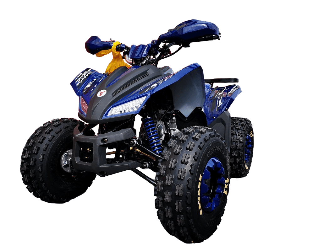 Купить Квадроцикл MOTOLAND 125 Coyote Pro в Москве фото3