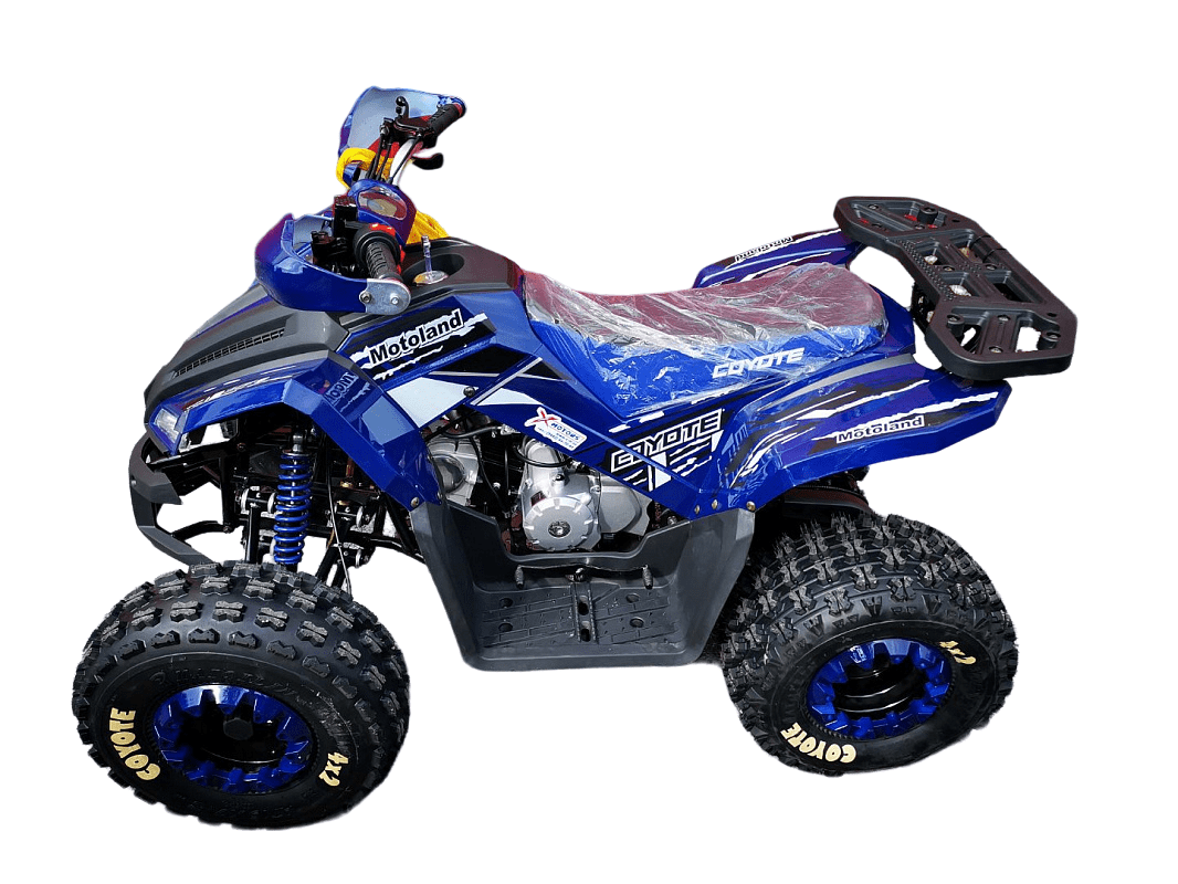 Купить Квадроцикл MOTOLAND 125 Coyote Pro в Москве фото4