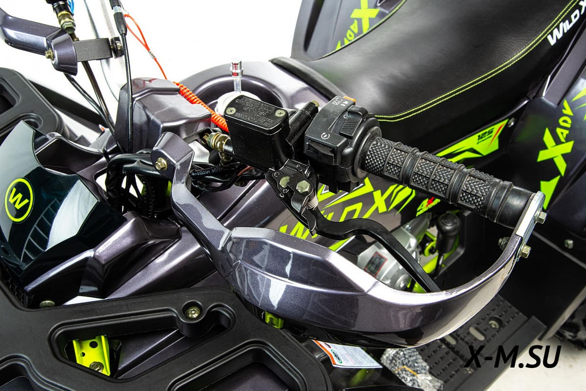 Купить Квадроцикл MOTOLAND Wild X Баланс. вал. (2021 Г.) в Москве фото4