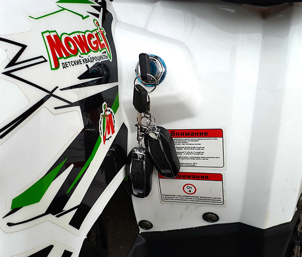 Купить Квадроцикл MOWGLI Hardy 8+ в Москве фото9