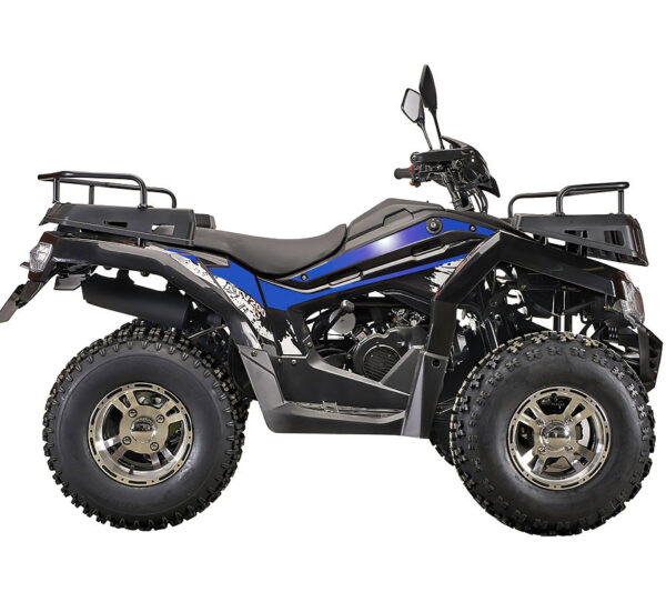 Купить Квадроцикл RATO 200 Classic F в Москве фото4