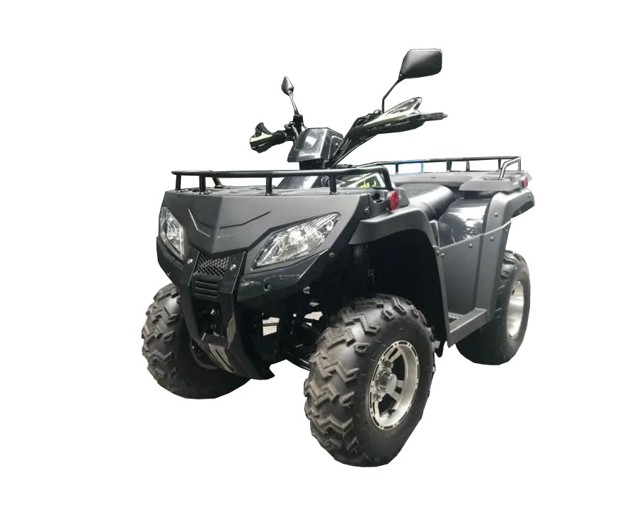 Купить Квадроцикл RATO RT 250 ST LD в Москве