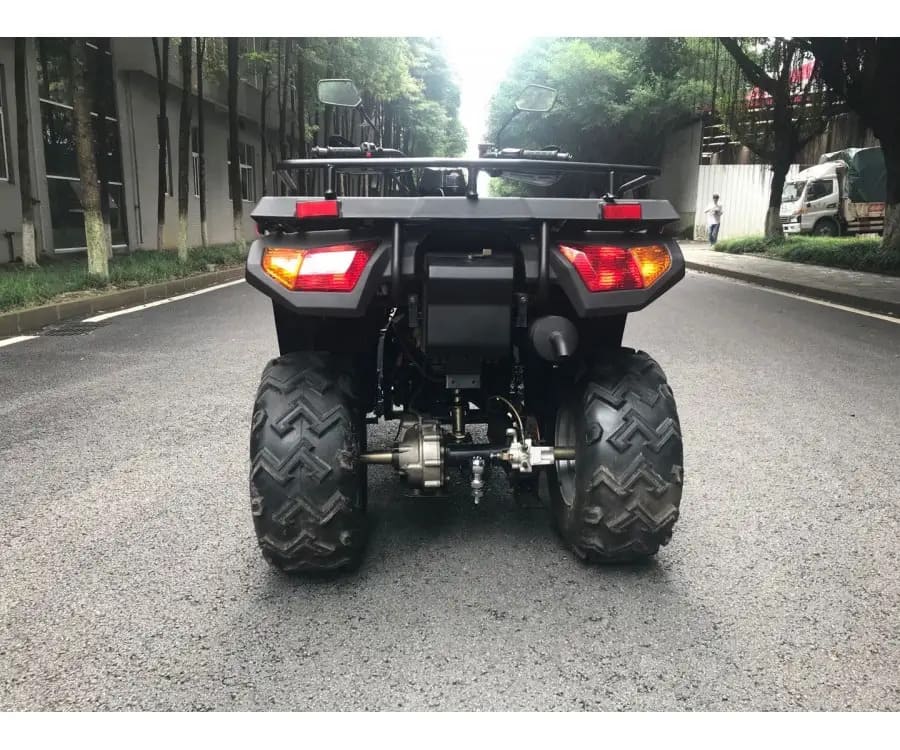 Купить Квадроцикл RATO RT 250 ST LD в Москве фото3