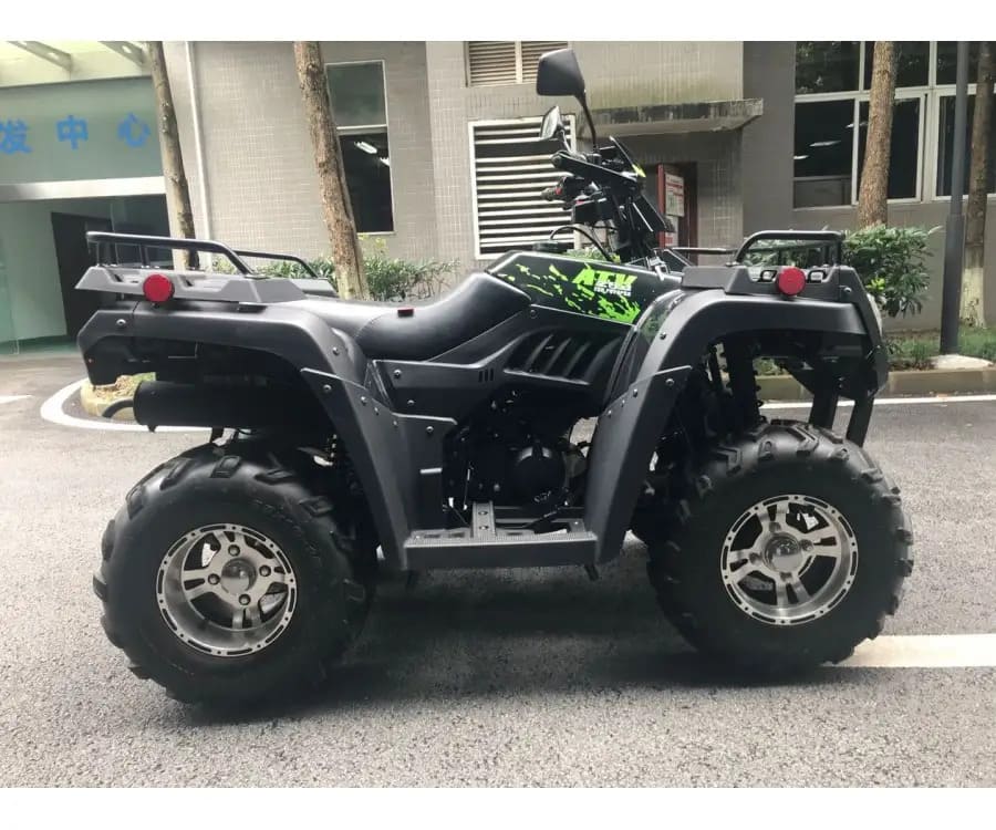 Купить Квадроцикл RATO RT 250 ST LD в Москве фото6