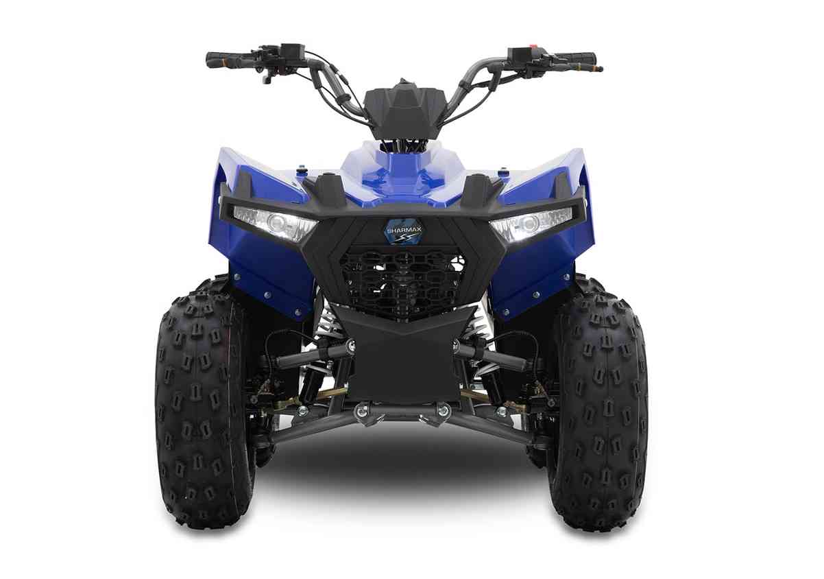 Купить Квадроцикл SHARMAX Cross 200 (2024) в Москве фото7