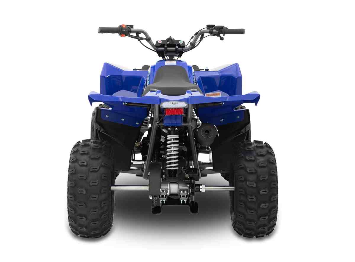 Купить Квадроцикл SHARMAX Cross 200 (2024) в Москве фото8