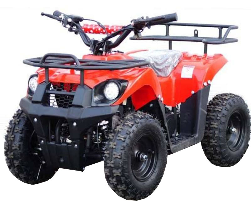 Купить Квадроцикл STALKER 50 в Москве