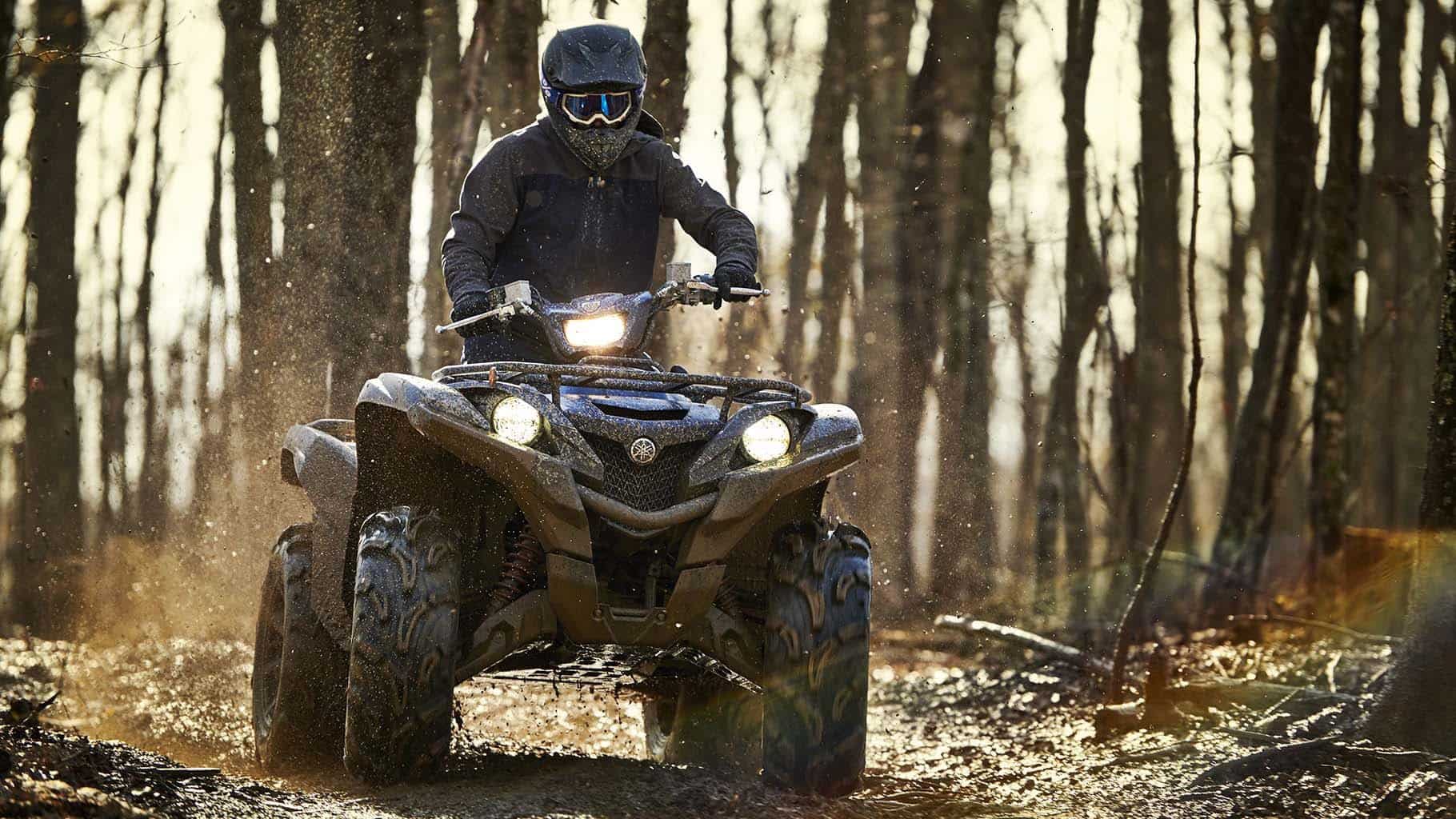 Купить Квадроцикл YAMAHA Grizzly 700 EPS STD (ПСМ) в Москве фото3