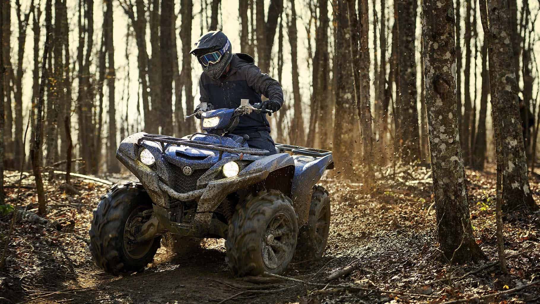 Купить Квадроцикл YAMAHA Grizzly 700 EPS STD (ПСМ) в Москве фото4