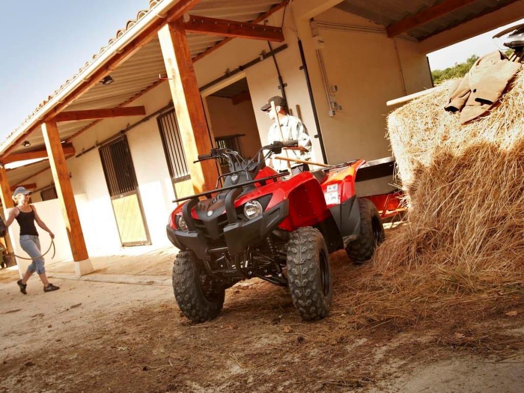 Купить Квадроцикл YAMAHA Segway 300 в Красноярске фото7