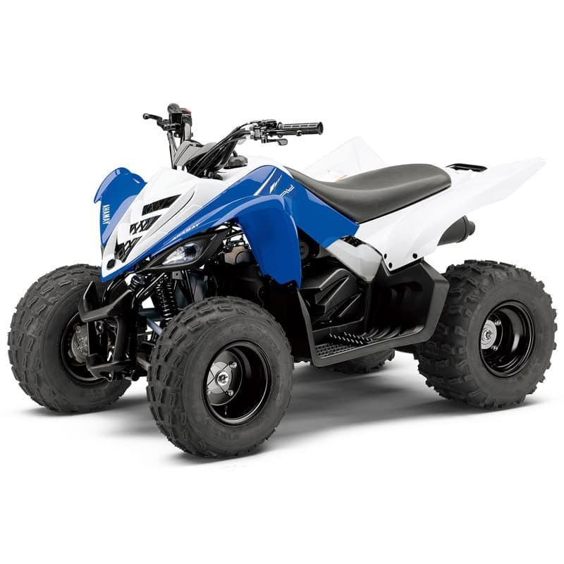 Купить Квадроцикл YAMAHA YFM90R (Raptor 90) в Москве