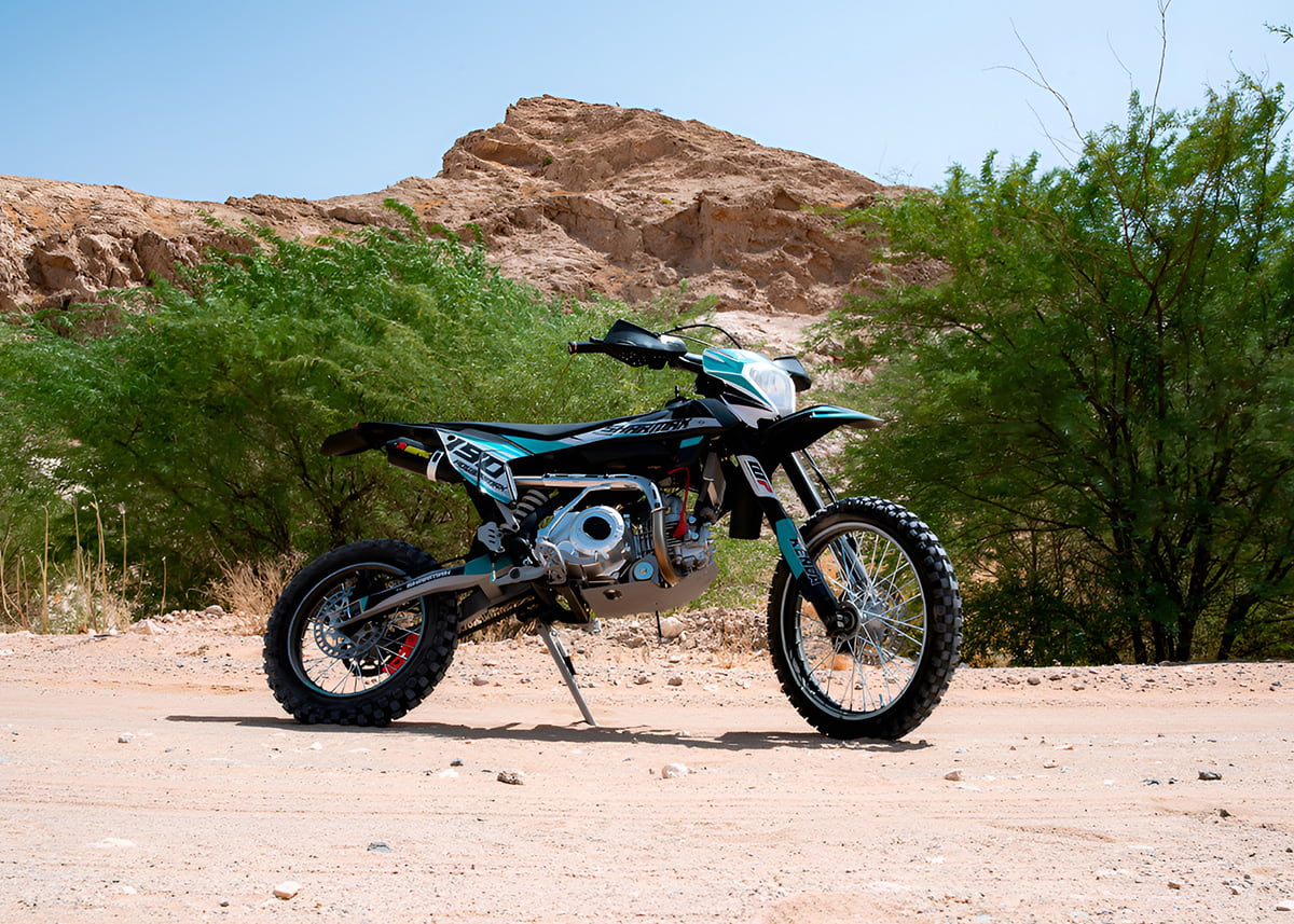 Купить Мотоцикл питбайк SHARMAX PowerMax 190 в Москве фото22