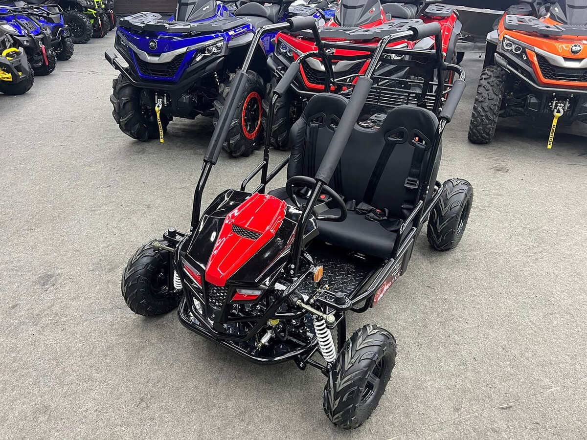 Купить Багги SHARMAX Тигр 250 в Москве фото2