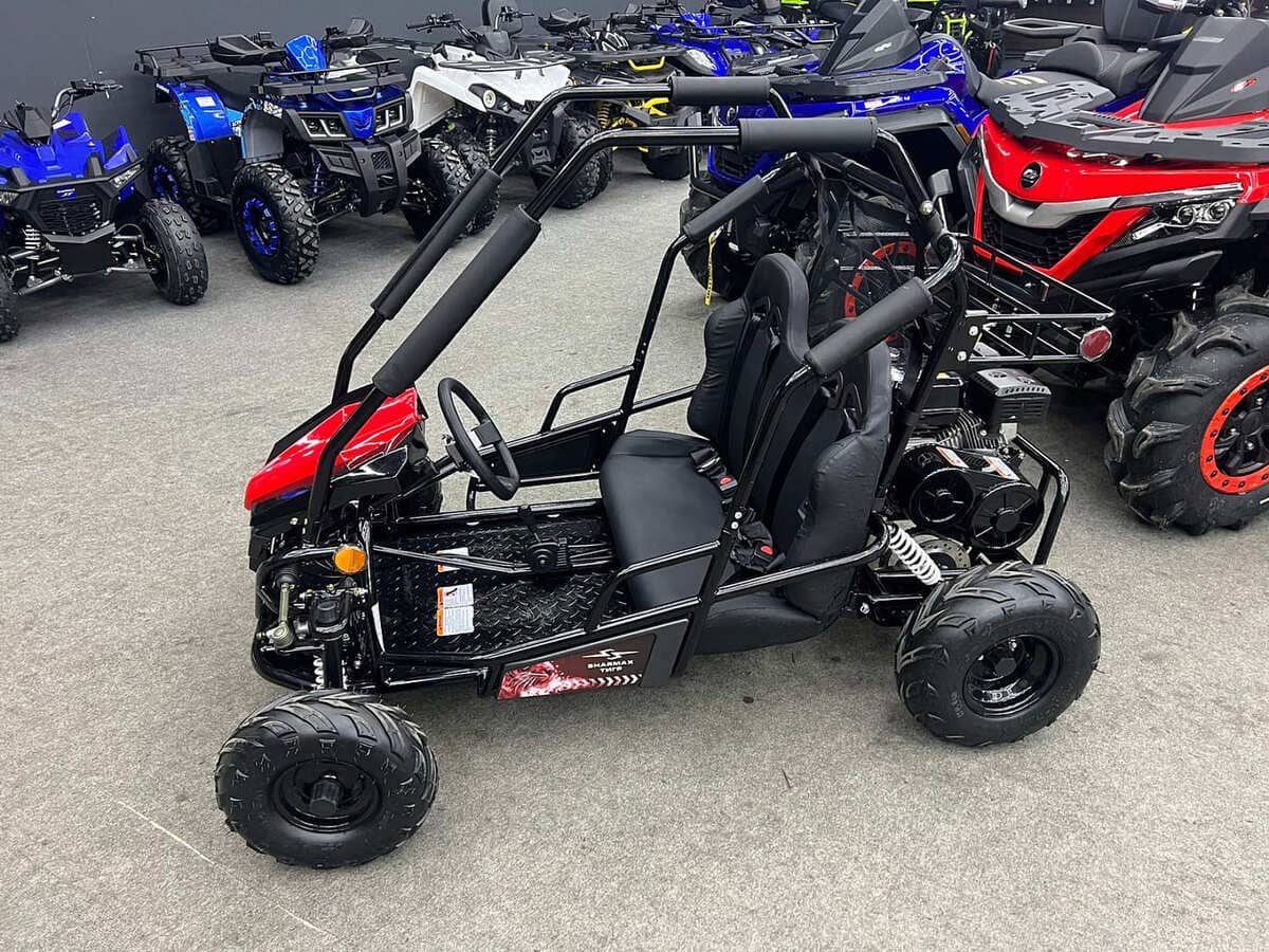 Купить Багги SHARMAX Тигр 250 в Москве фото3