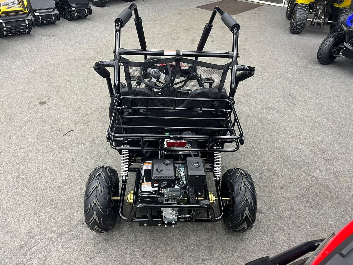 Купить Багги SHARMAX Тигр 250 в Москве фото4