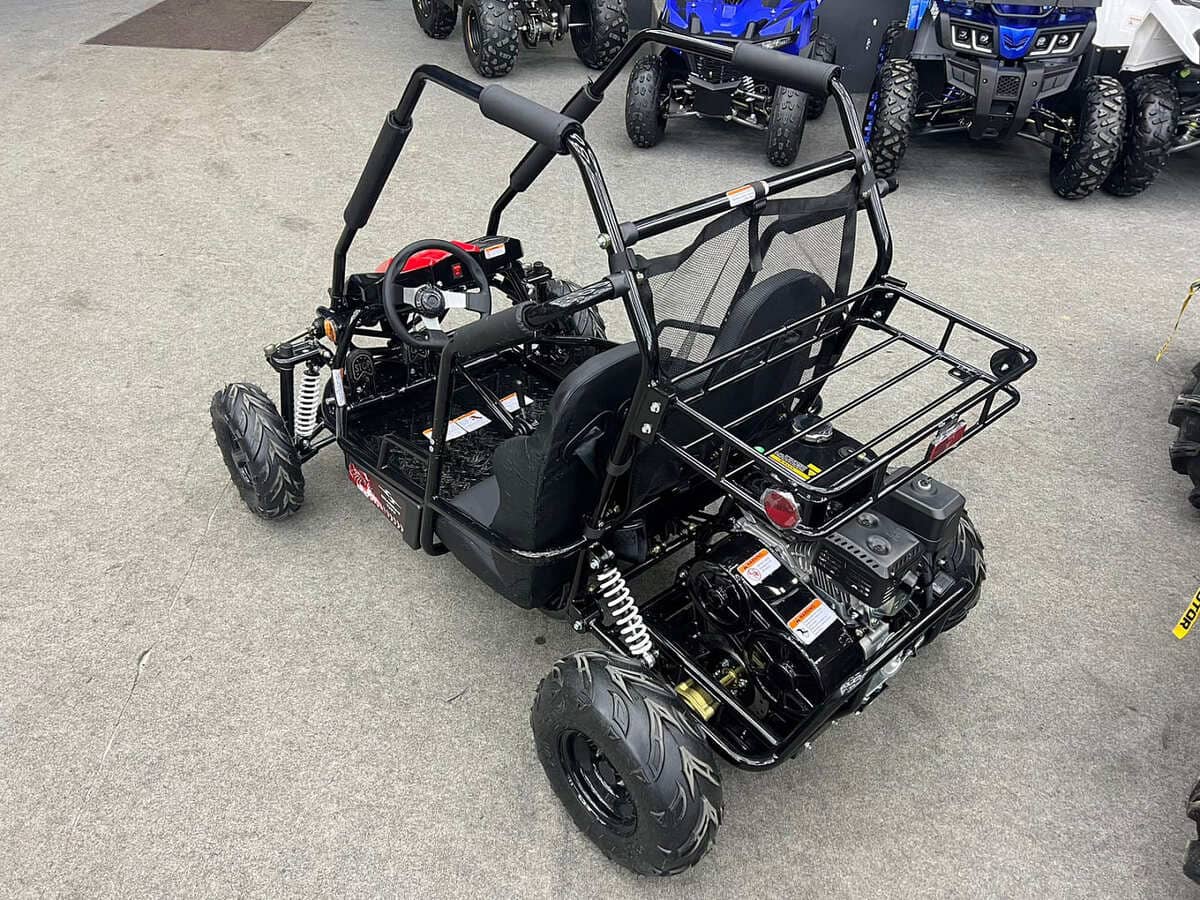 Купить Багги SHARMAX Тигр 250 в Москве фото5