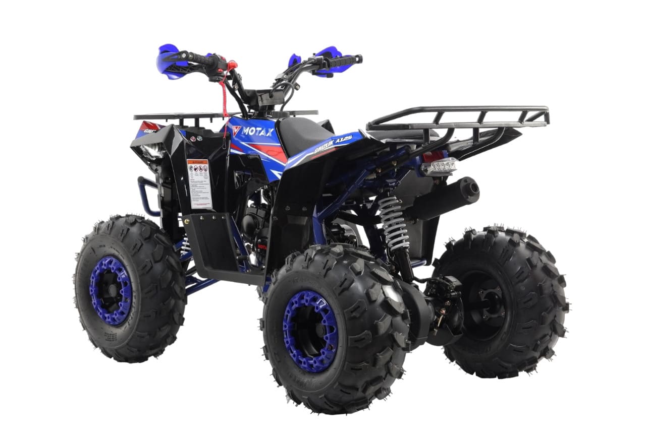 Купить Квадроцикл MOTAX Grizlik A125 в Москве фото2