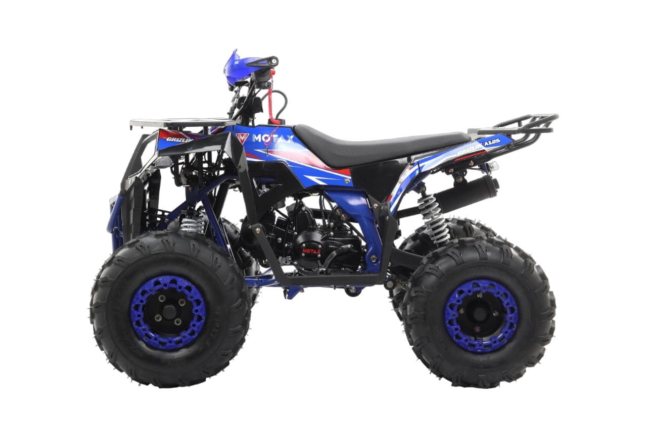 Купить Квадроцикл MOTAX Grizlik A125 в Москве фото3