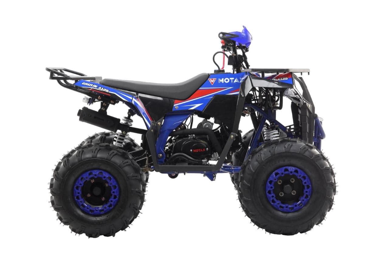 Купить Квадроцикл MOTAX Grizlik A125 в Москве фото4