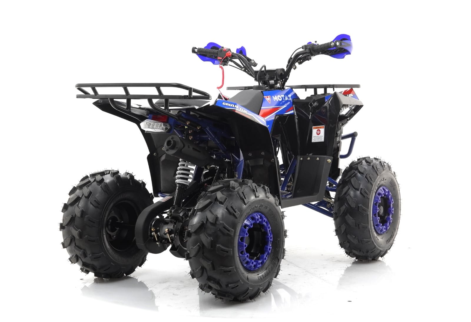 Купить Квадроцикл MOTAX Grizlik A125 в Москве фото5