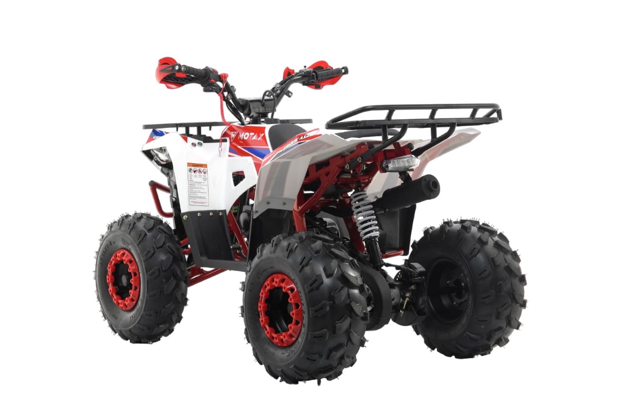 Купить Квадроцикл MOTAX Grizlik A125 в Москве фото8