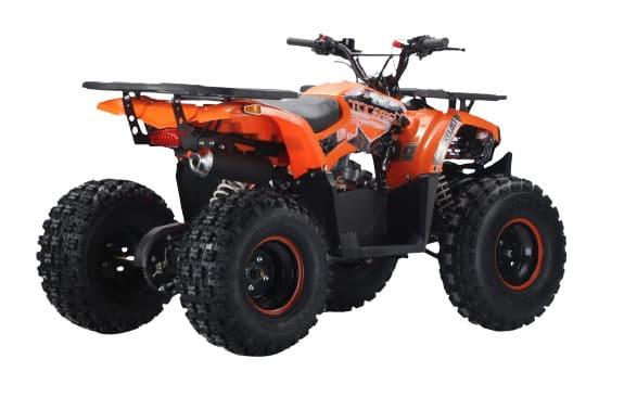 Купить Квадроцикл YACOTA Dazzle в Москве фото2