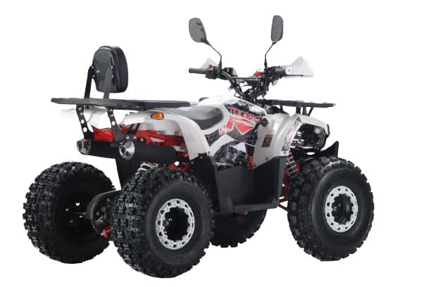 Купить Квадроцикл YACOTA Dazzle LUX в Москве фото2