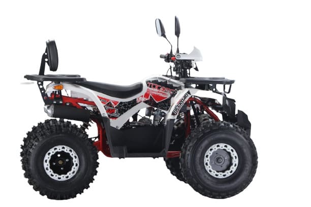 Купить Квадроцикл YACOTA Dazzle LUX в Москве фото3