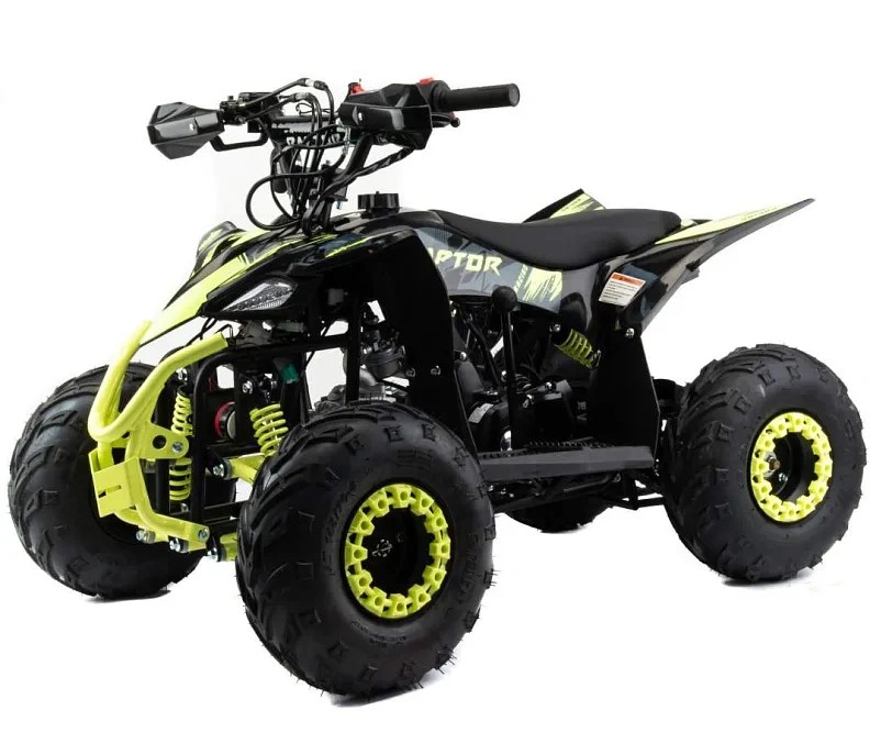 Купить Квадроцикл MOTOLAND Raptor 110 в Москве