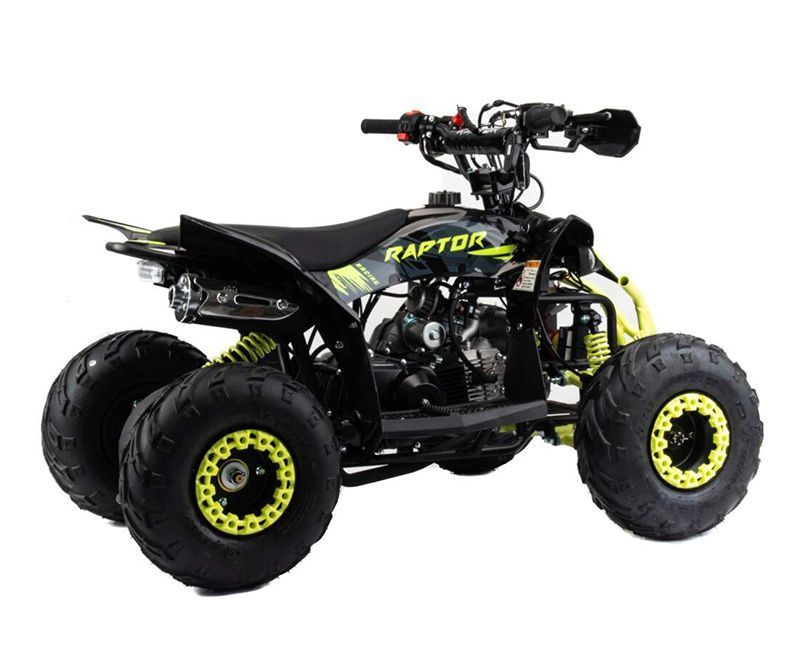 Купить Квадроцикл MOTOLAND Raptor 110 в Москве фото2