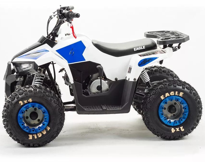 Купить Квадроцикл MZ Eagle 110 в Москве фото5