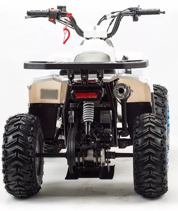 Купить Квадроцикл MZ Eagle 110 в Москве фото8