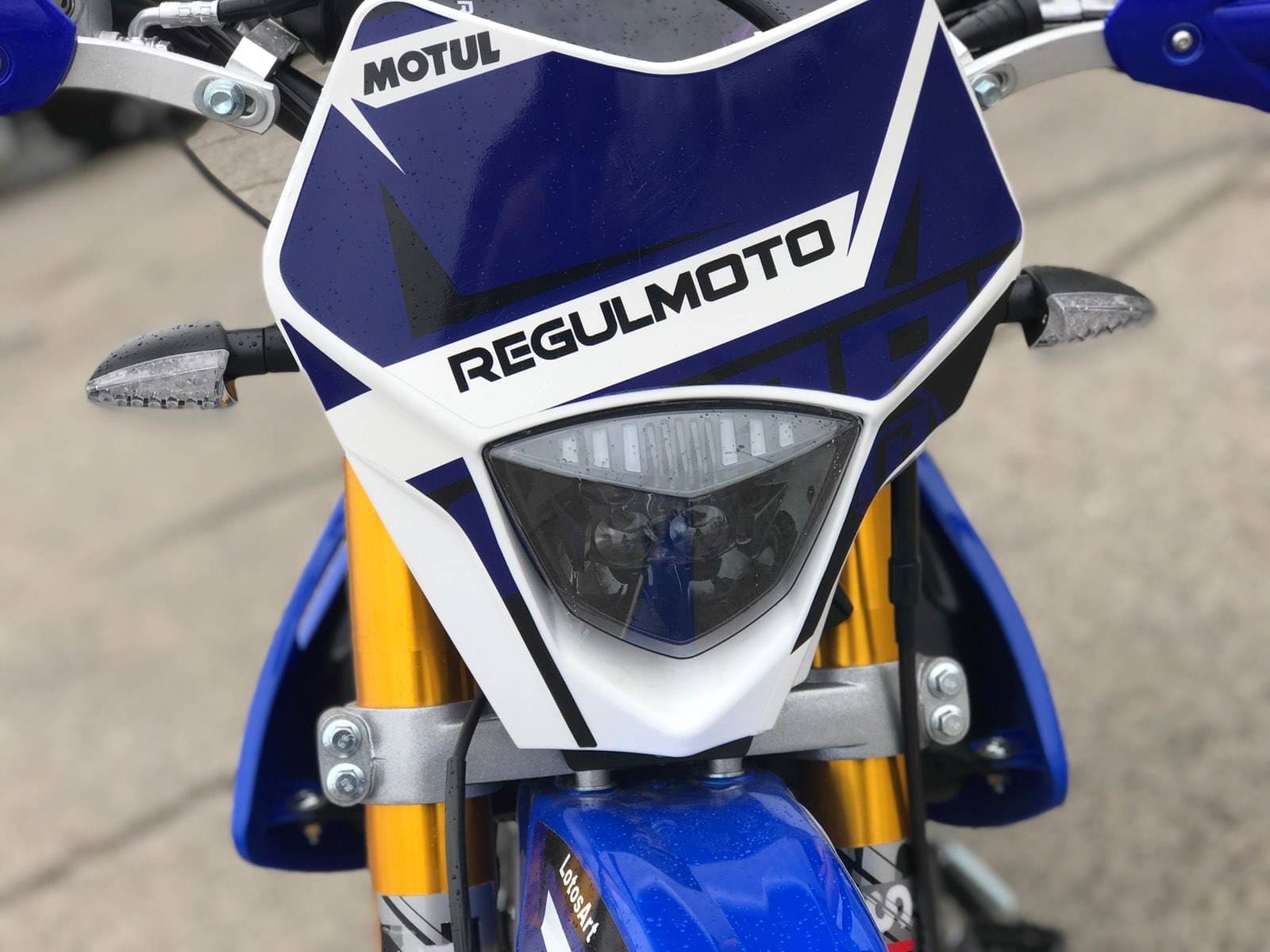 Купить Мотоцикл кроссовый эндуро REGULMOTO Sport-003 PR в Москве фото4