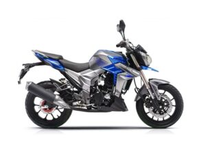 Купить Мотоцикл REGULMOTO T-Leopard 300 