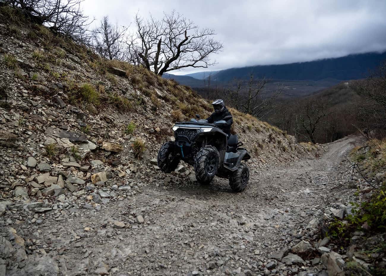 Купить Квадроцикл CFMOTO CFORCE 1000 EPS (ПСМ) в Москве фото7