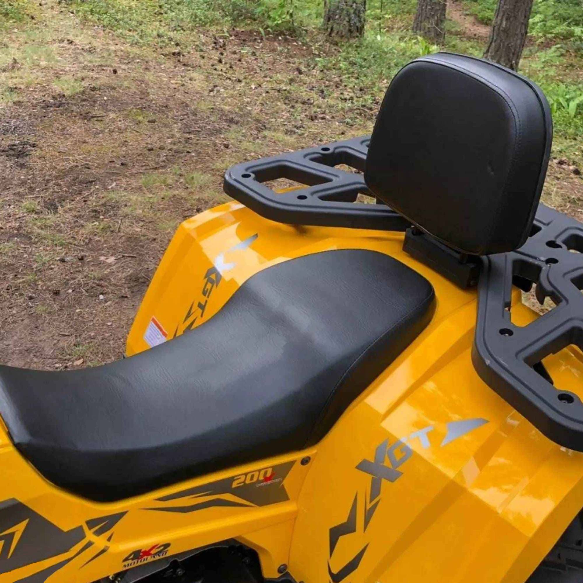 Купить Квадроцикл MOTOLAND 200 Wild Track X в Москве фото5