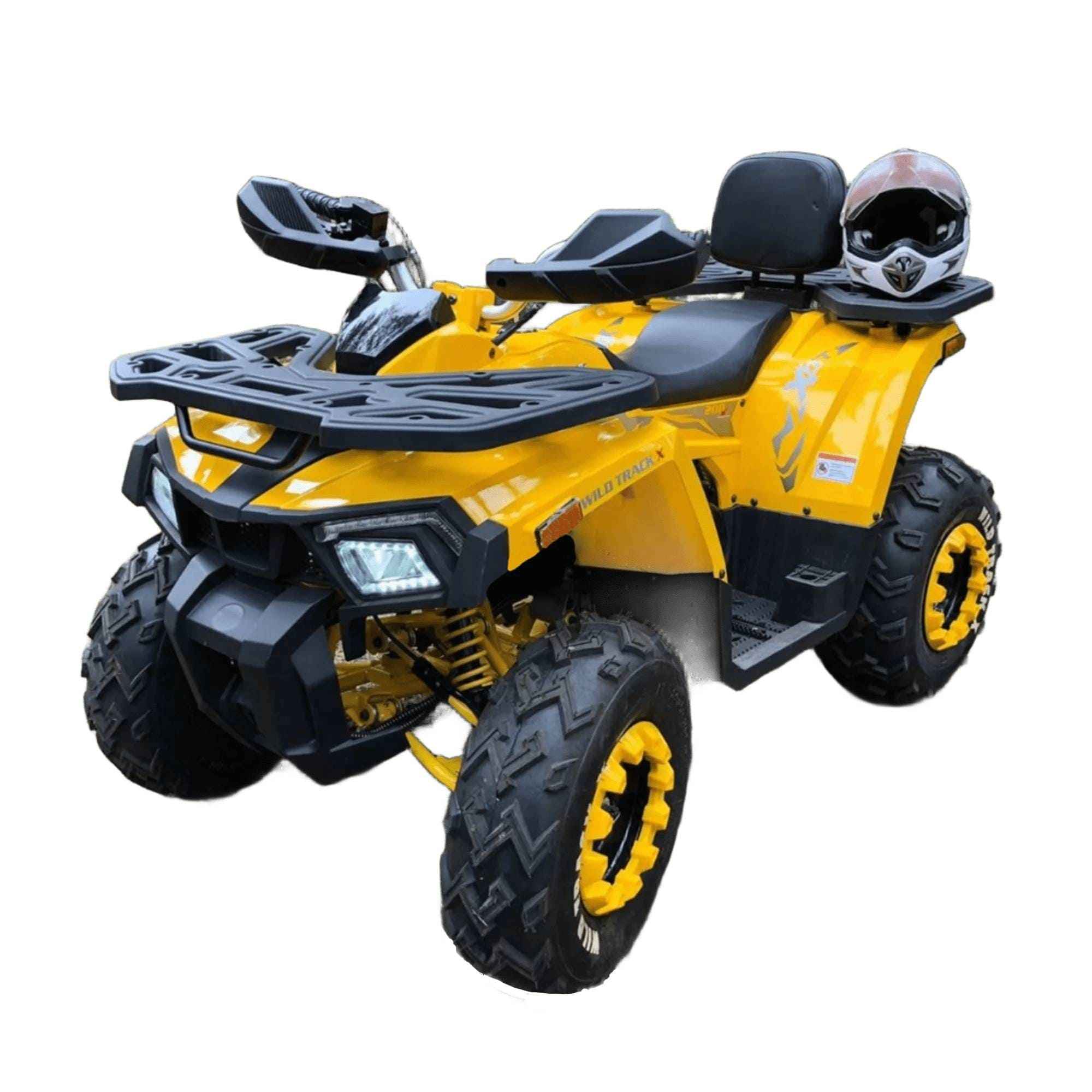 Купить Квадроцикл MOTOLAND 200 Wild Track X в Москве