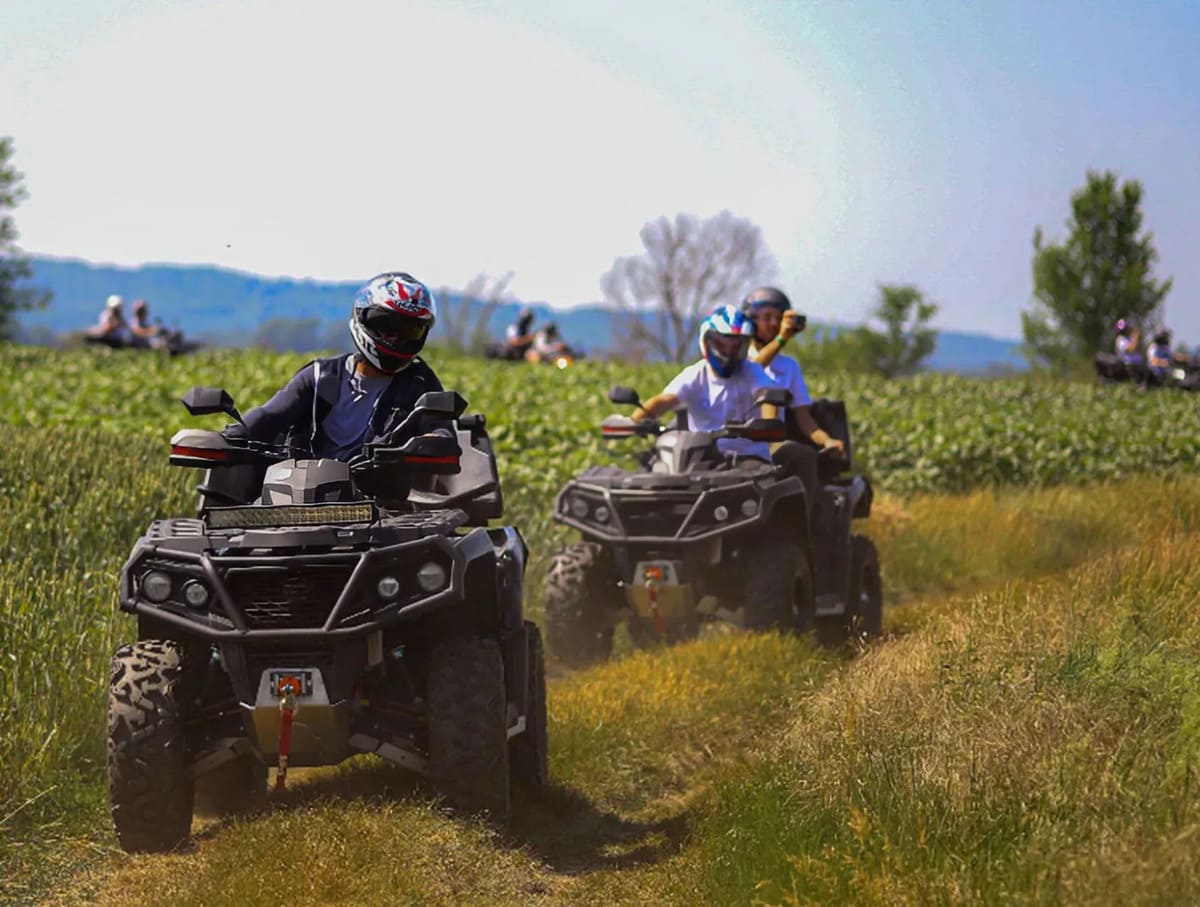 Купить Квадроцикл АОДЕС PathCross 800L Pro EPS (ПСМ) в Москве фото3