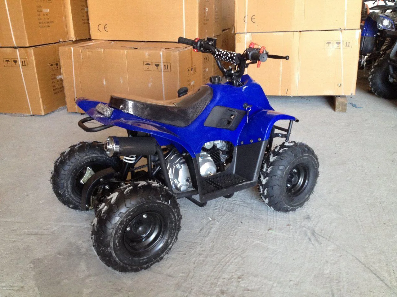 Купить Квадроцикл RAPTOR 110 в Москве фото2