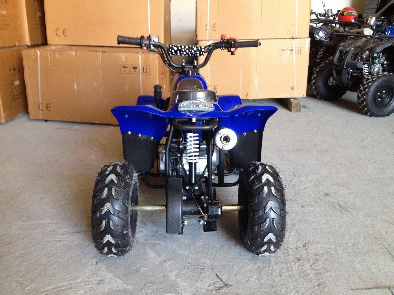 Купить Квадроцикл RAPTOR 110 в Москве фото3