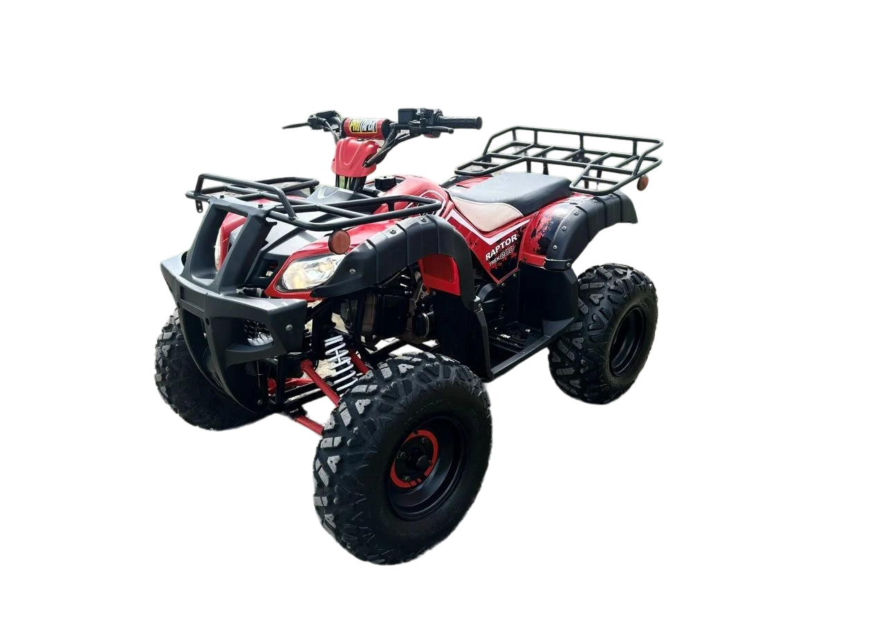 Купить Квадроцикл RAPTOR Madman 200 All в Москве