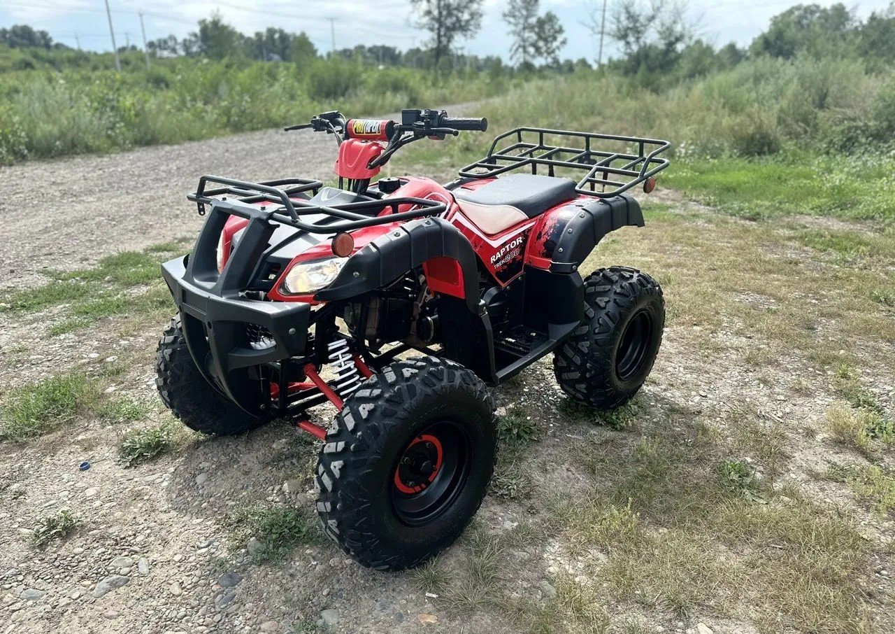 Купить Квадроцикл RAPTOR Madman 200 All в Москве фото2
