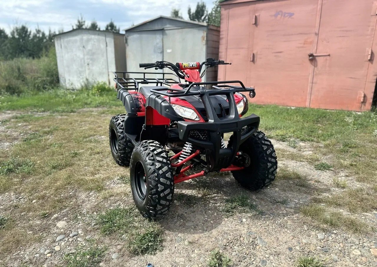Купить Квадроцикл RAPTOR Madman 200 All в Москве фото3