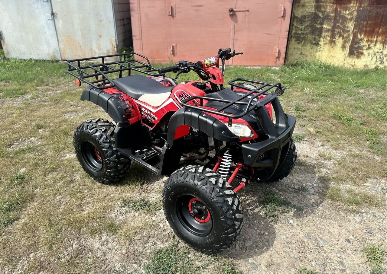 Купить Квадроцикл RAPTOR Madman 200 All в Москве фото4