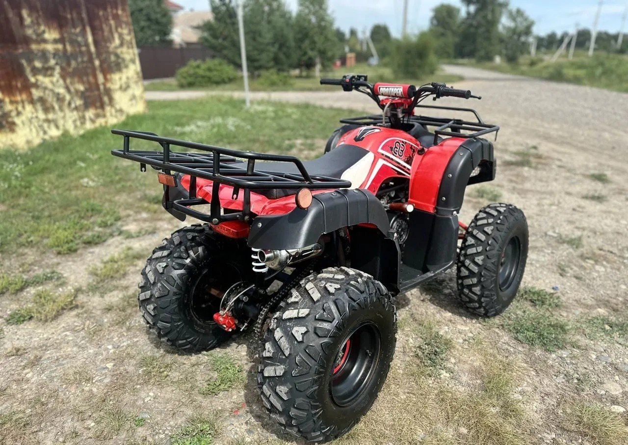 Купить Квадроцикл RAPTOR Madman 200 All в Москве фото6