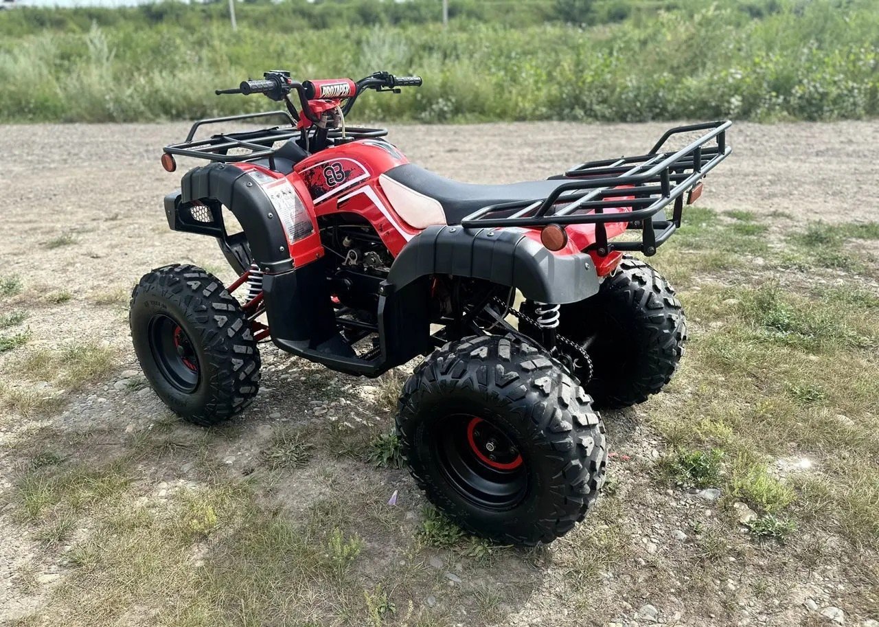 Купить Квадроцикл RAPTOR Madman 200 All в Москве фото7