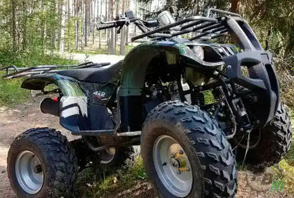 Купить Квадроцикл WELS Thunder 200 в Москве фото5